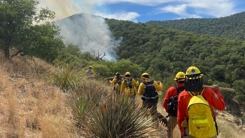 Sigue intensa la lucha contra incendio forestal en Cerro Gavilán
