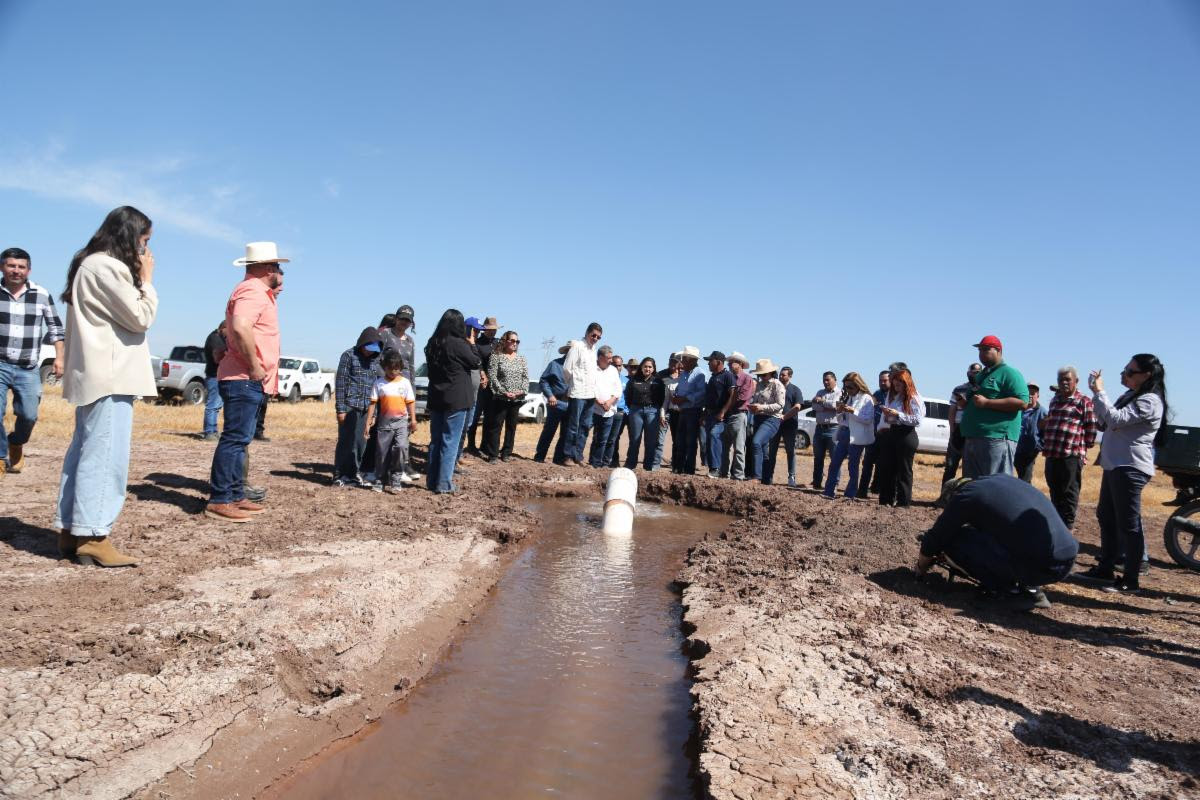 Gobierno de Sonora reactiva tierras al cultivo con obra hidroagrícola en Navojoa