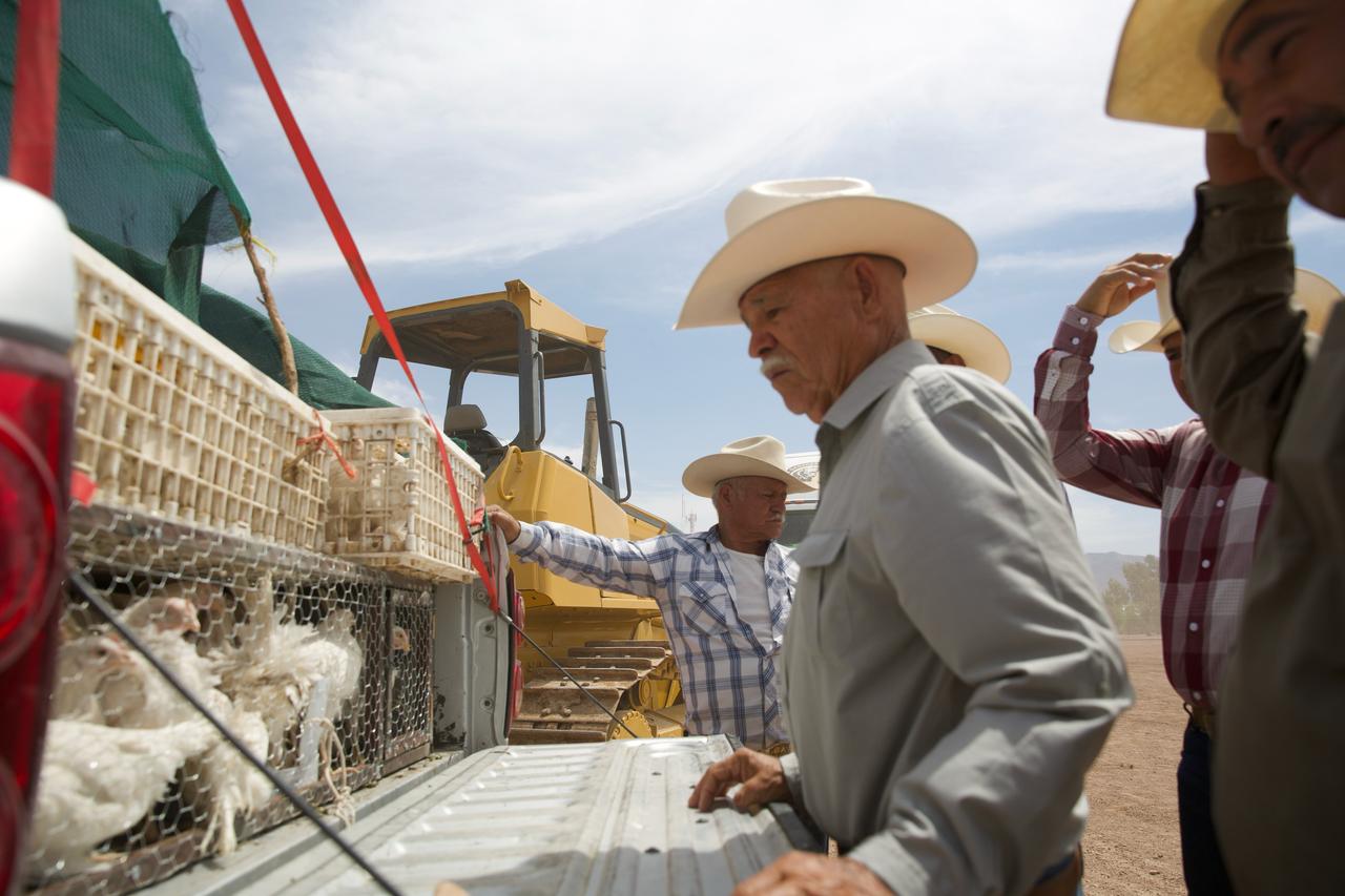 Lleva Gobierno de Sonora maquinaria y apoyos a la sierra alta
