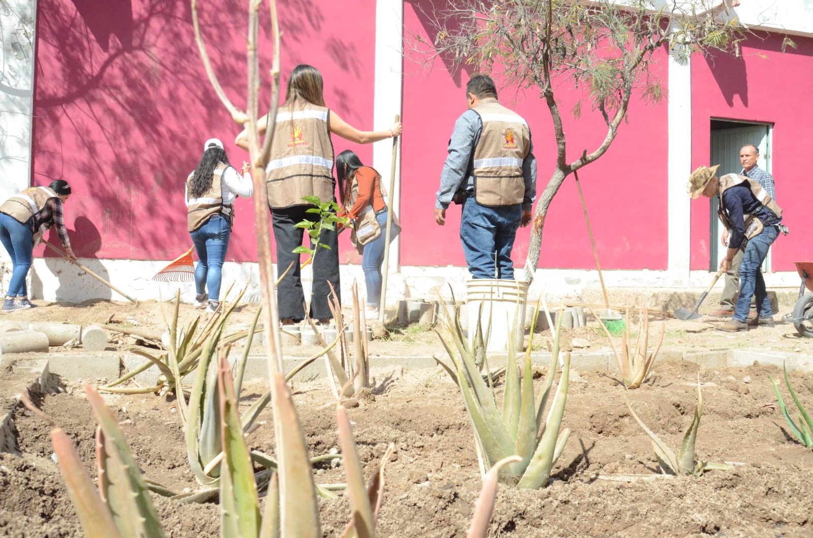 Promueve Secretaría de Agricultura de Sonora creación de huertos urbanos