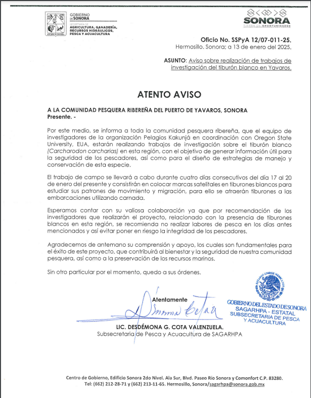 Captura de pantalla 2025 01 16 135132