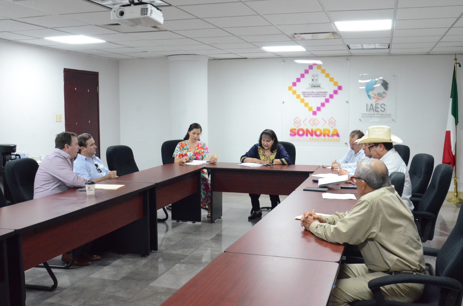 WhatsApp Image 2023 08 05 at 13.00.51