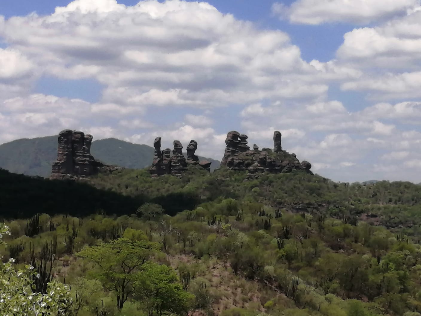 WhatsApp Image 2023 08 22 at 19.10.12 3