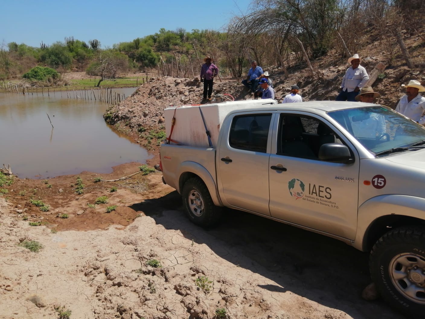 WhatsApp Image 2023 08 22 at 19.10.13