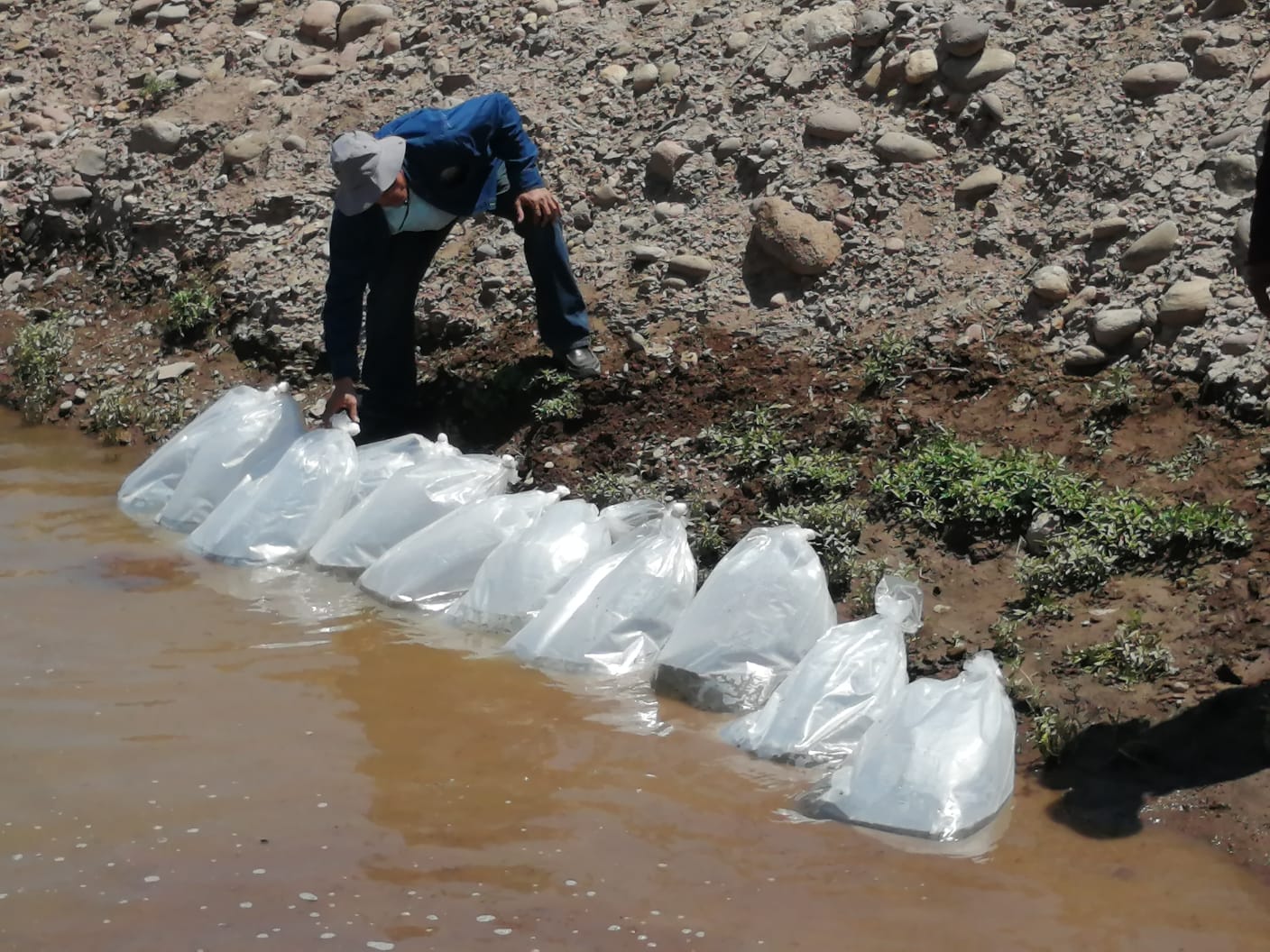 WhatsApp Image 2023 08 22 at 19.10.13 1