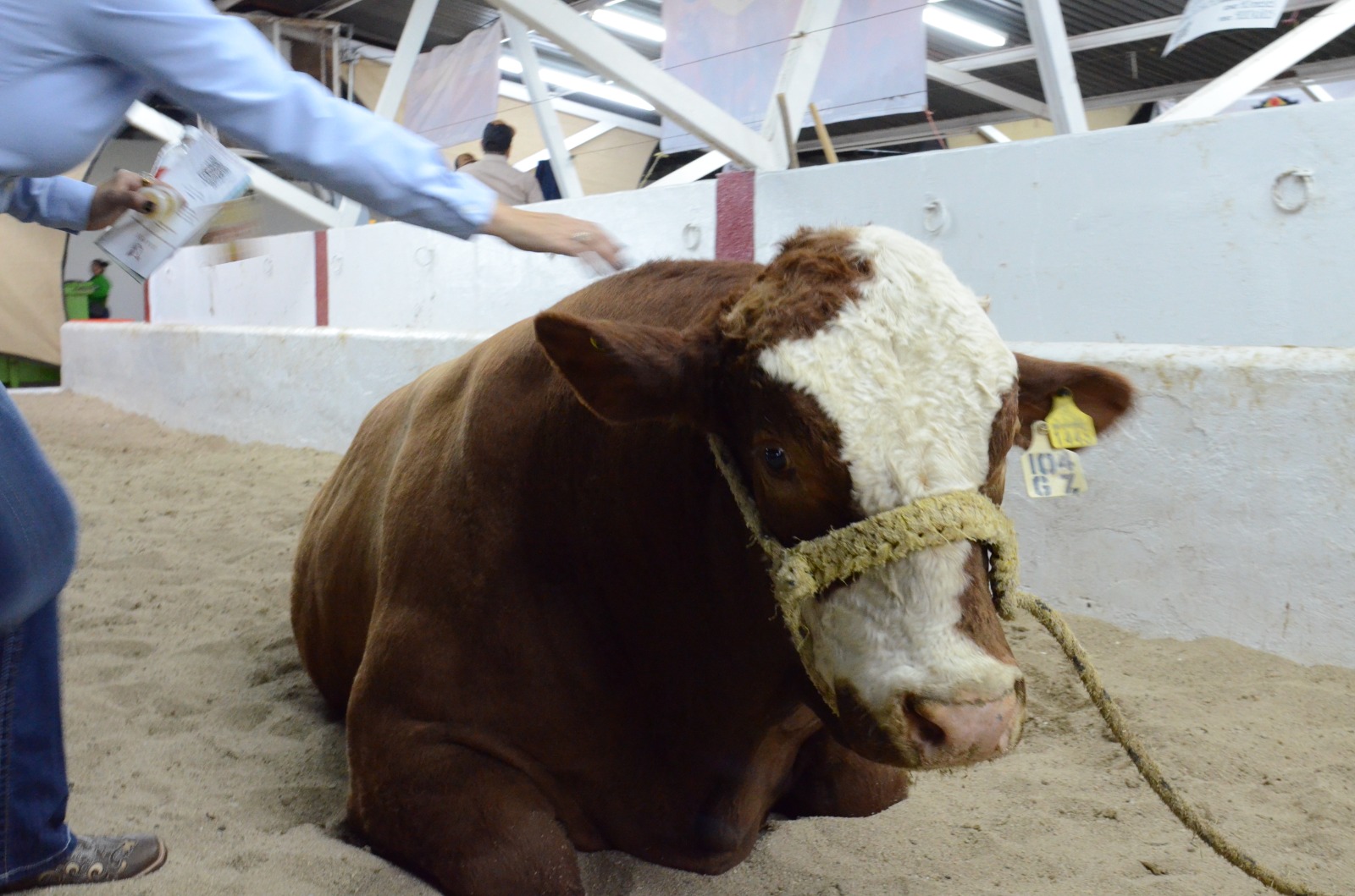 WhatsApp Image 2024 01 18 at 13.11.08