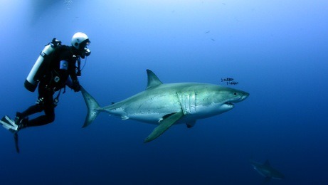 WhatsApp Image 2024 02 09 at 17.19.42