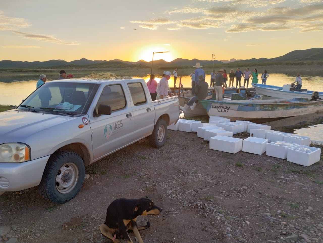 WhatsApp Image 2024 02 12 at 16.53.34