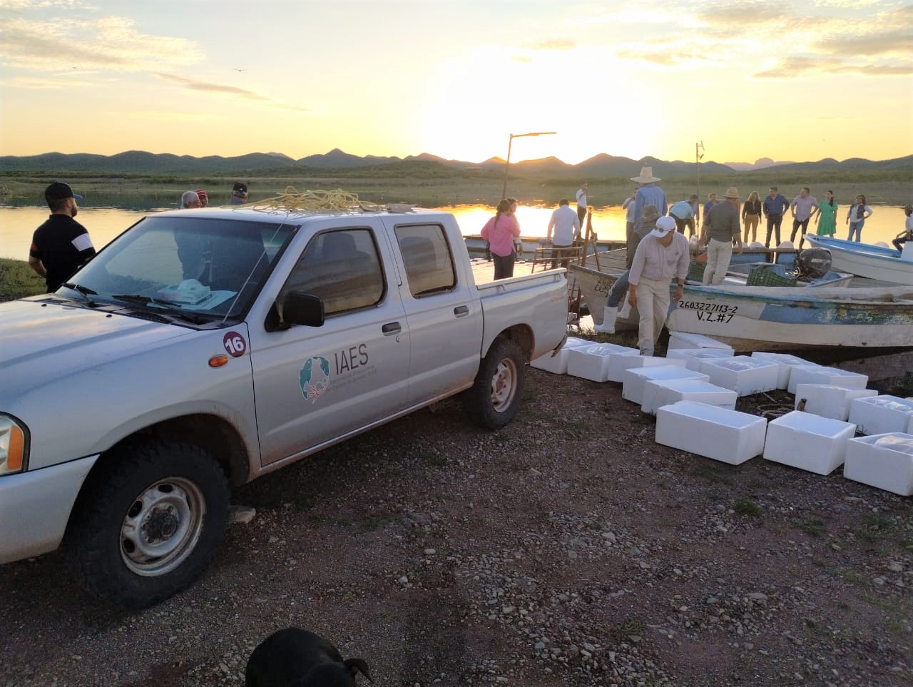 WhatsApp Image 2024 02 12 at 16.53.35