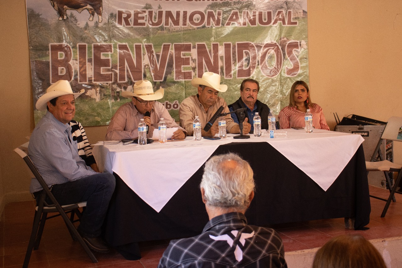 WhatsApp Image 2024 02 18 at 14.01.27 5