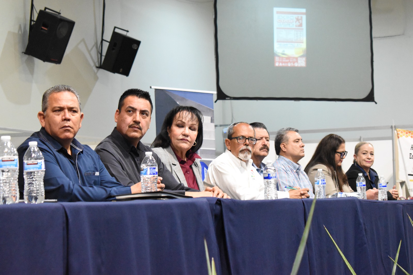 WhatsApp Image 2024 02 23 at 15.35.48 3