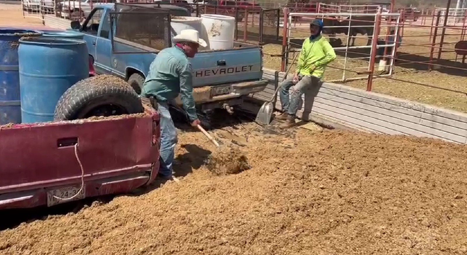 WhatsApp Image 2024 08 07 at 3.49.07 PM