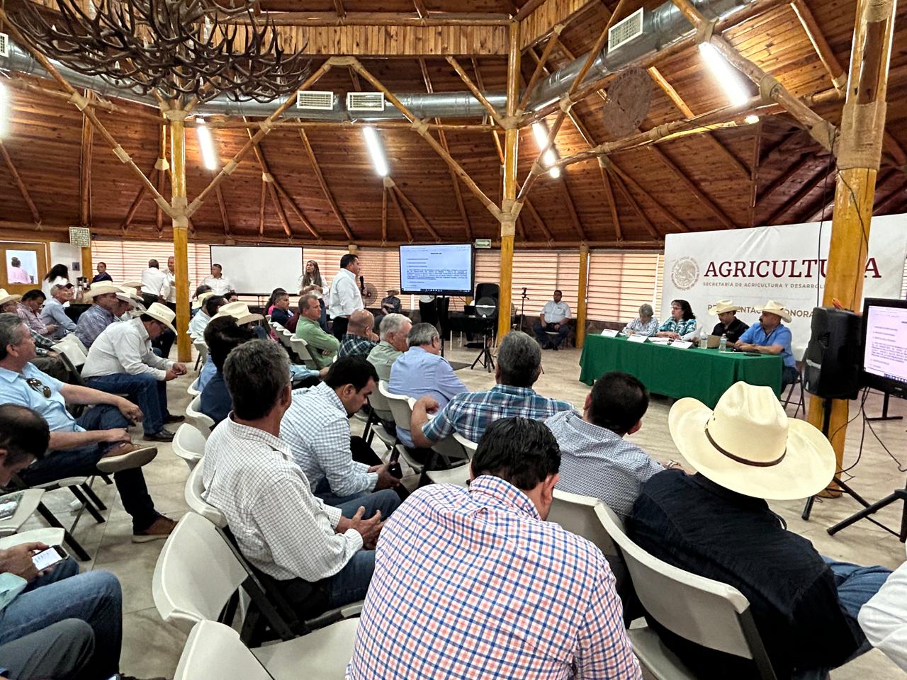 WhatsApp Image 2024 09 11 at 9.34.24 AM 2