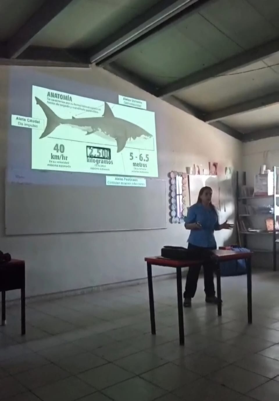 WhatsApp Image 2024 09 11 at 9.34.30 AM