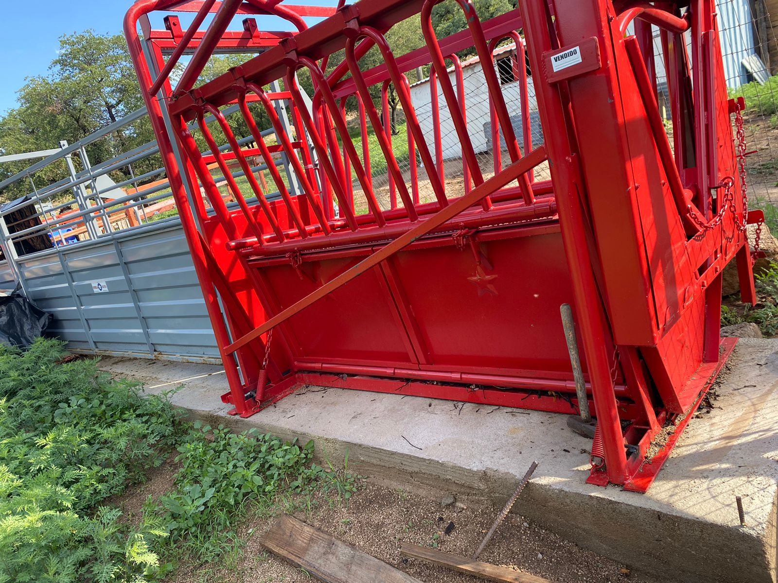 WhatsApp Image 2024 09 25 at 10.05.21 AM 2