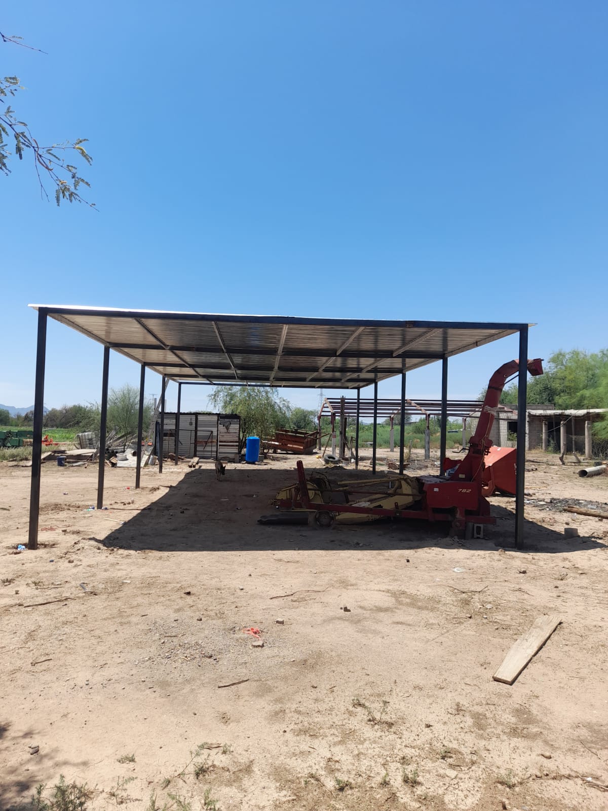 WhatsApp Image 2024 09 25 at 10.05.22 AM