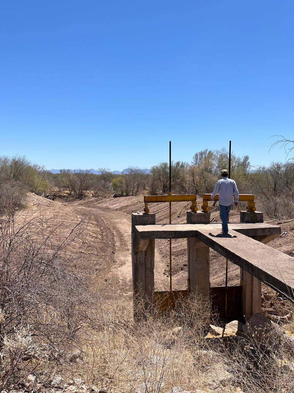 WhatsApp Image 2024 09 25 at 10.05.22 AM 3