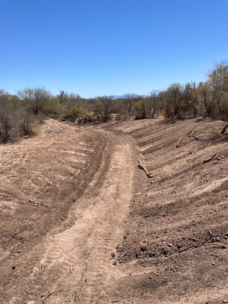 WhatsApp Image 2024 09 25 at 10.05.22 AM 4