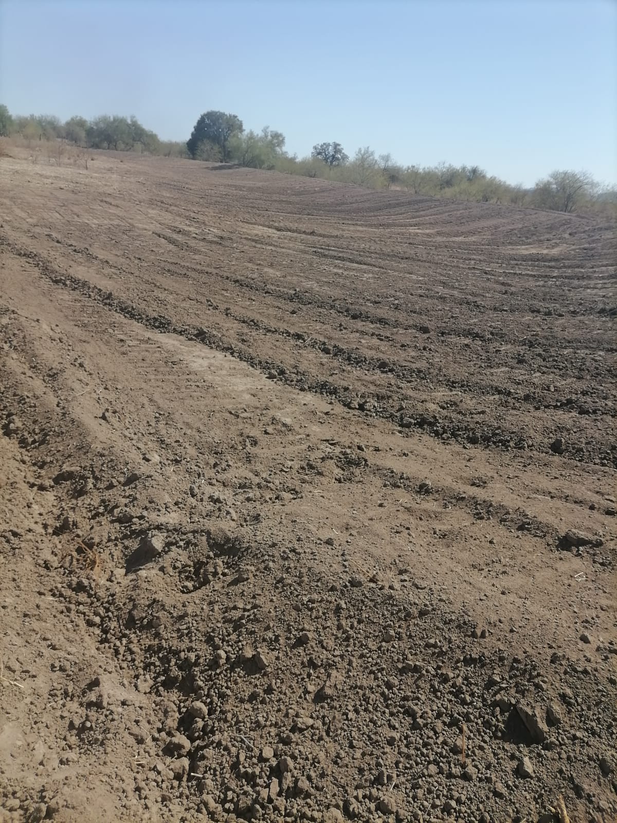 WhatsApp Image 2024 09 25 at 10.05.22 AM 5