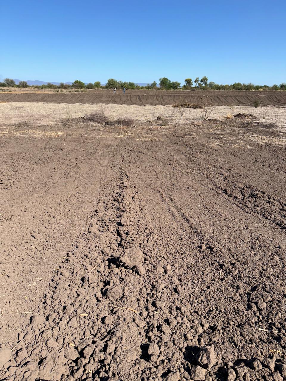 WhatsApp Image 2024 09 25 at 10.05.22 AM 7