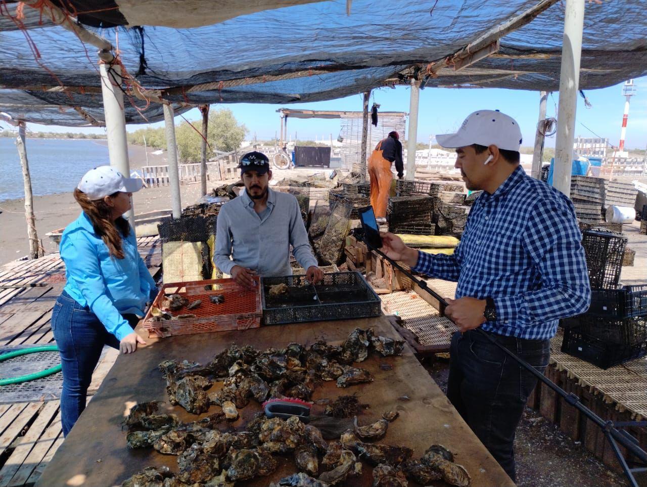 WhatsApp Image 2024 10 09 at 10.00.40 AM