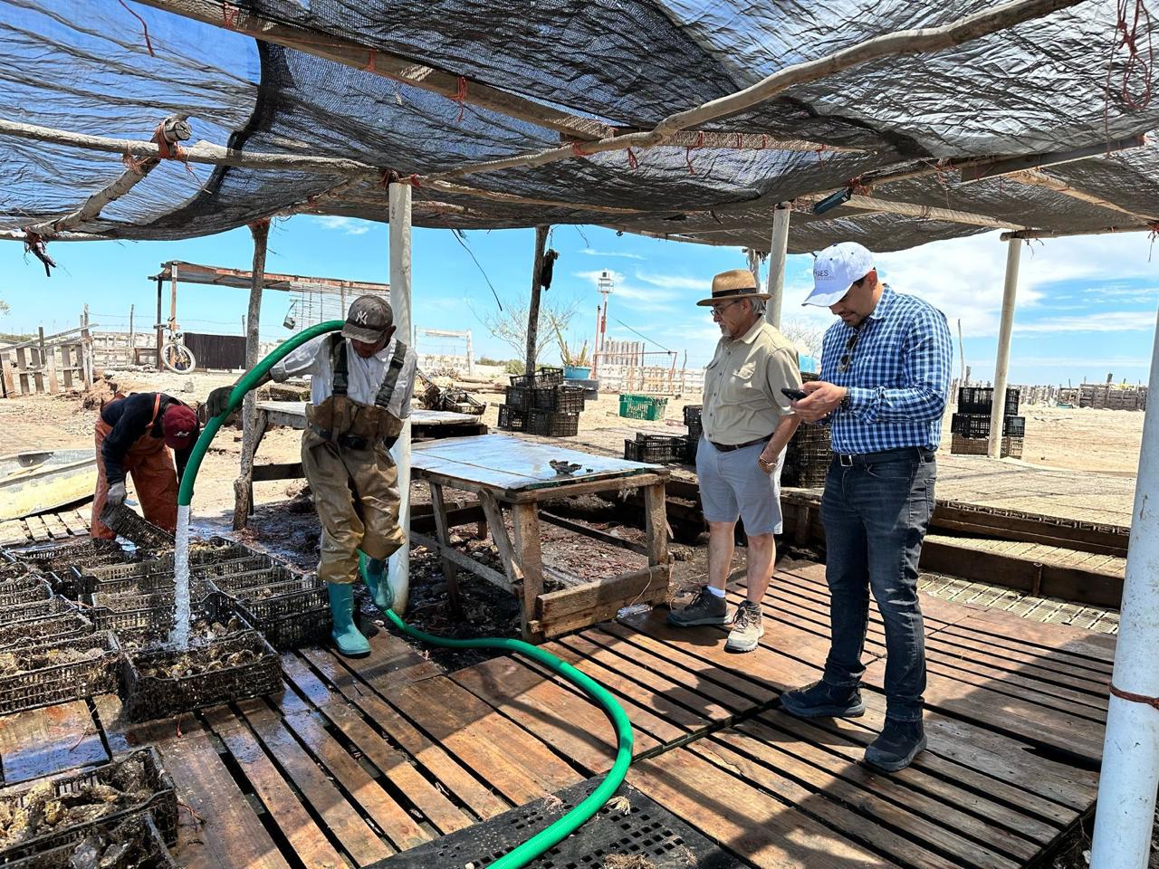 WhatsApp Image 2024 10 09 at 10.00.40 AM 2