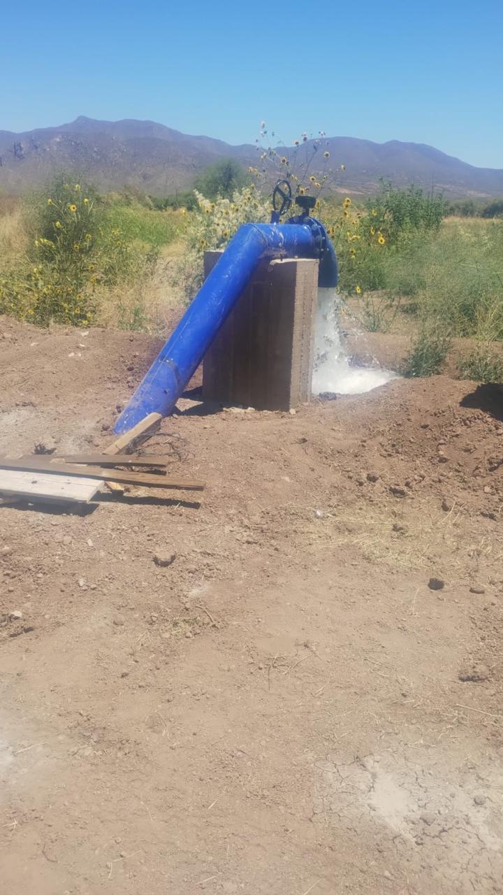 WhatsApp Image 2024 10 09 at 10.01.25 AM 1