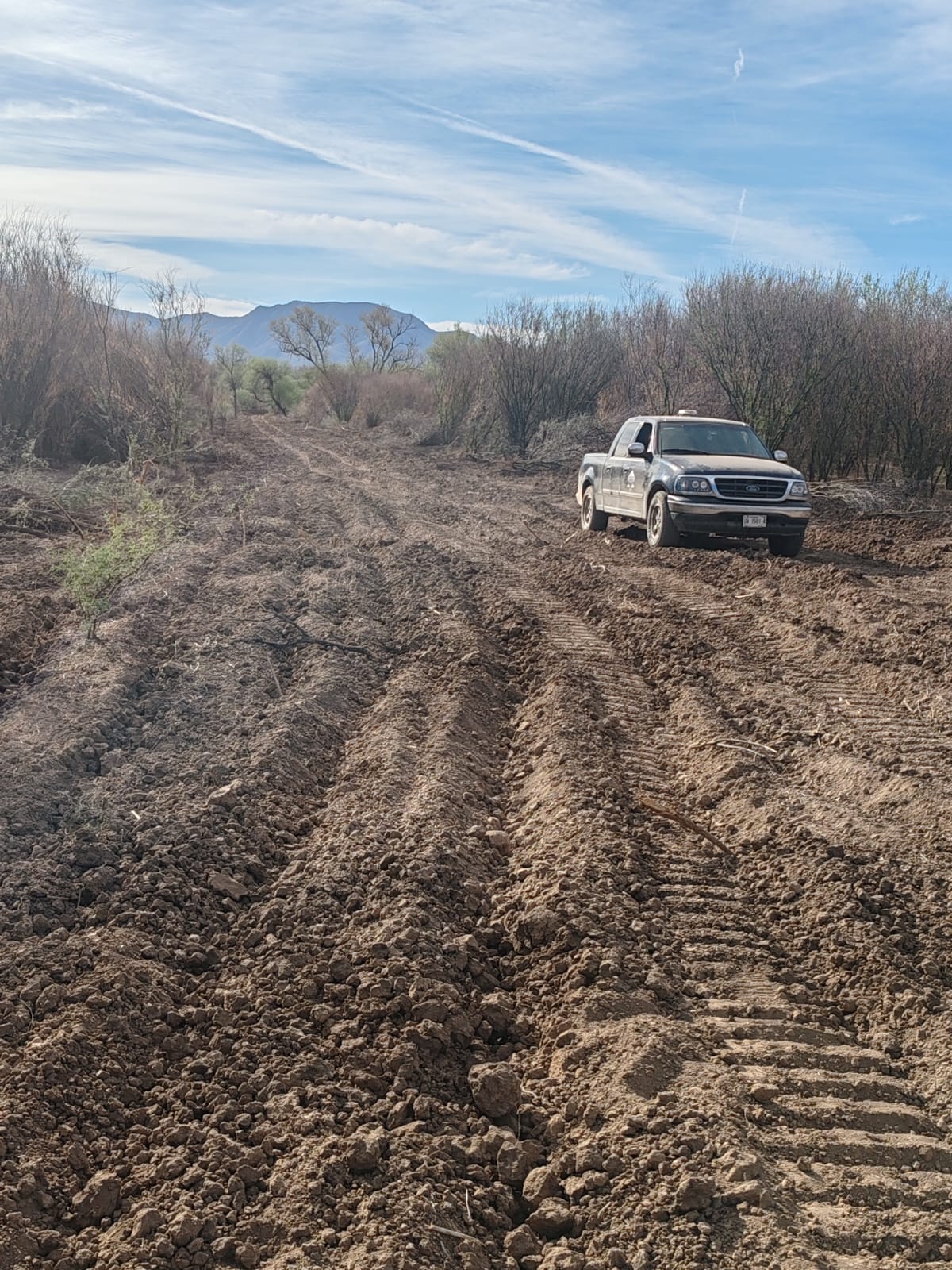 WhatsApp Image 2024 10 09 at 10.01.26 AM 1