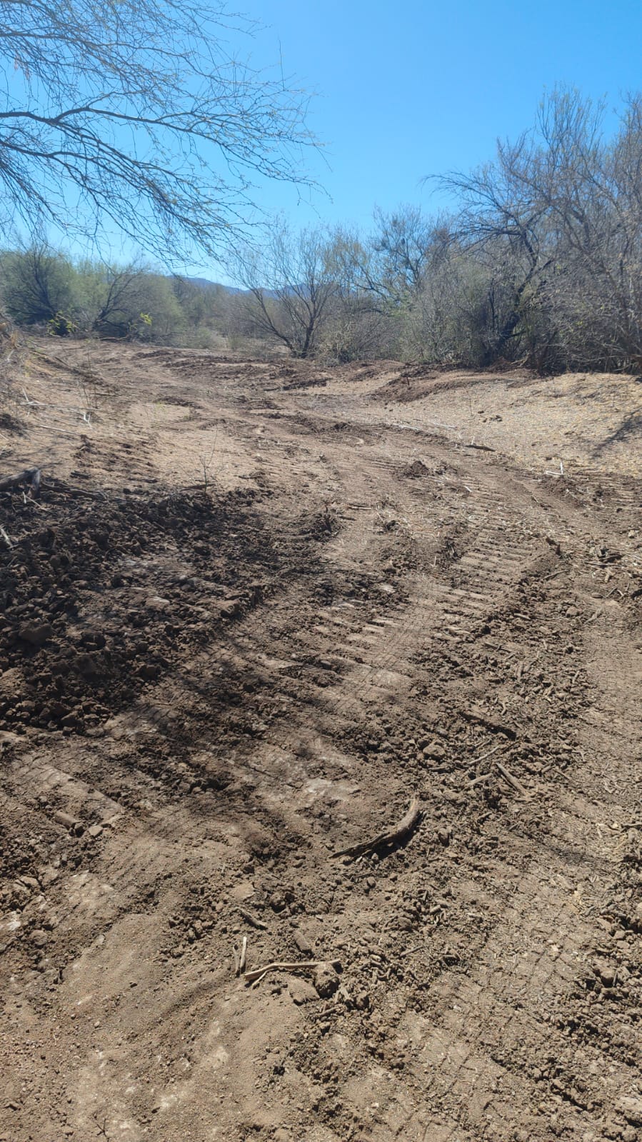 WhatsApp Image 2024 10 09 at 10.01.26 AM 2