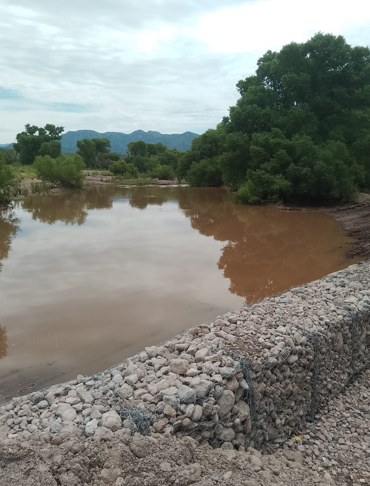 WhatsApp Image 2024 10 09 at 10.01.26 AM 3