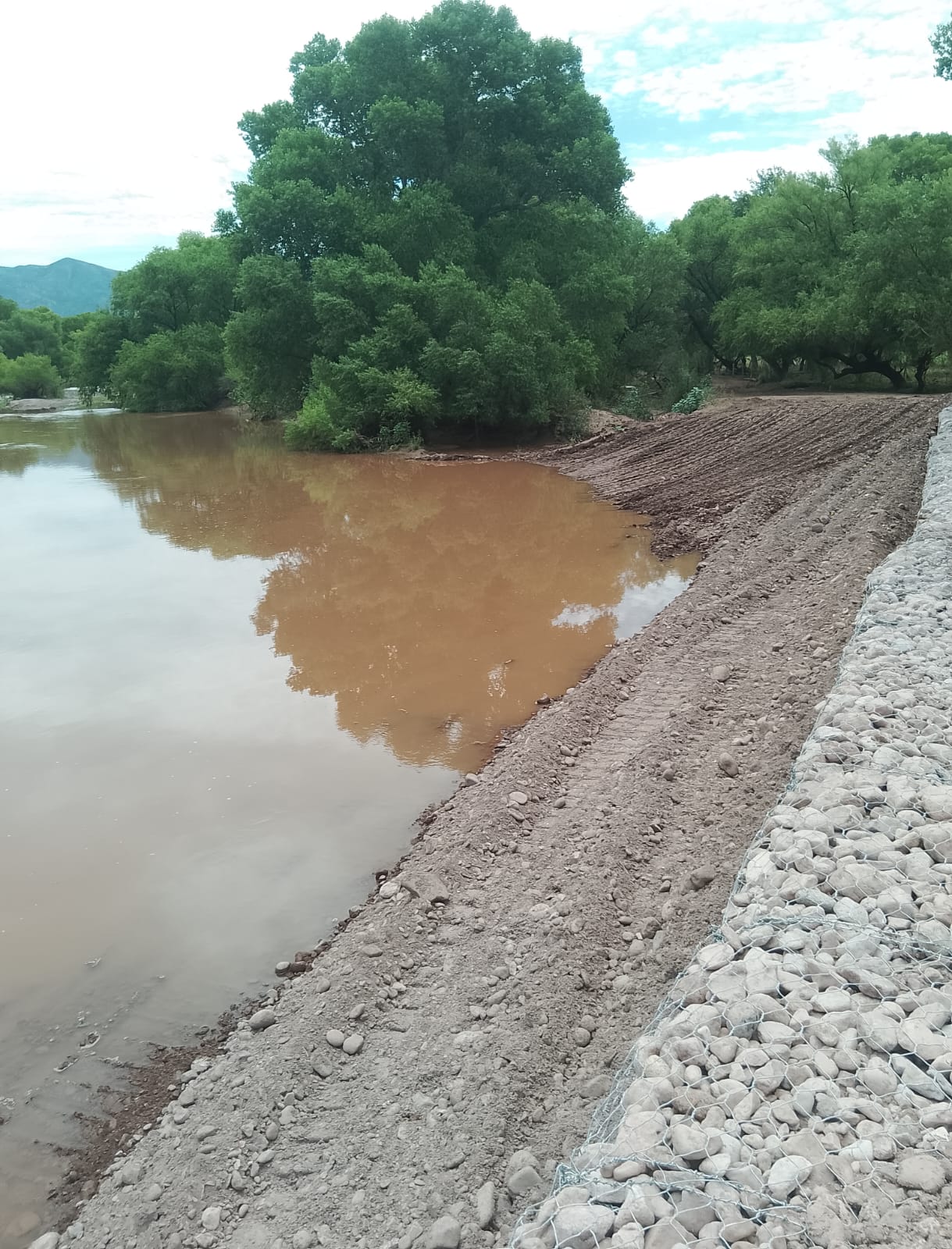 WhatsApp Image 2024 10 09 at 10.01.26 AM 4