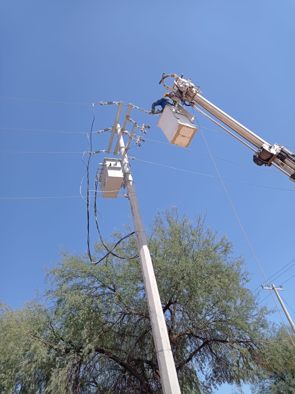 WhatsApp Image 2024 10 09 at 10.01.26 AM 7