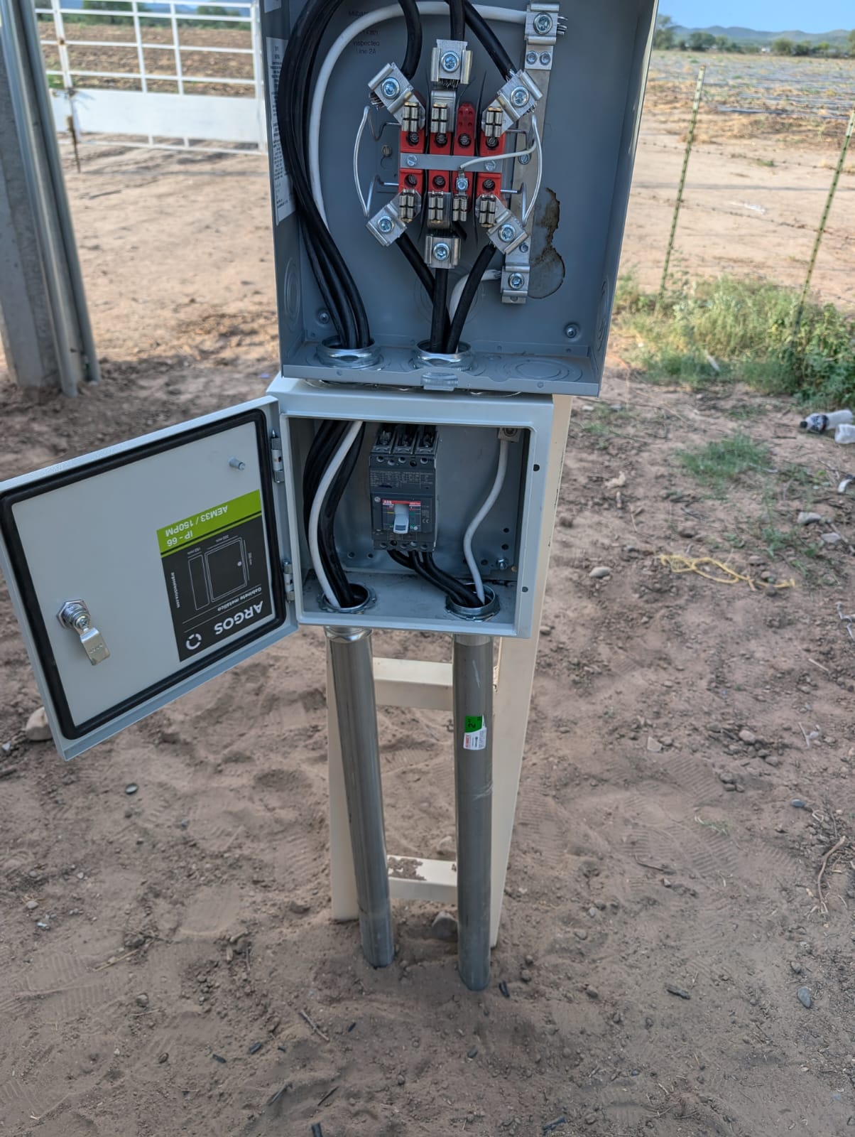 WhatsApp Image 2024 10 09 at 10.01.27 AM