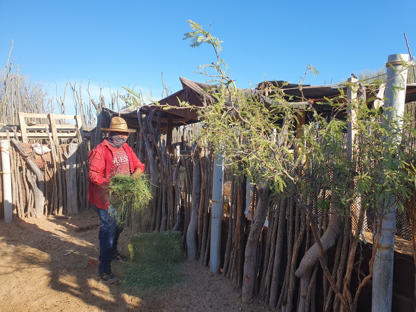 WhatsApp Image 2024 10 09 at 10.04.09 AM