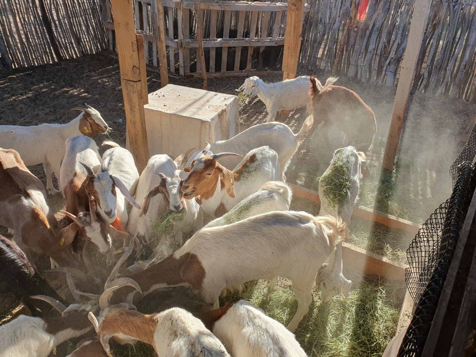 WhatsApp Image 2024 10 09 at 10.04.09 AM 1