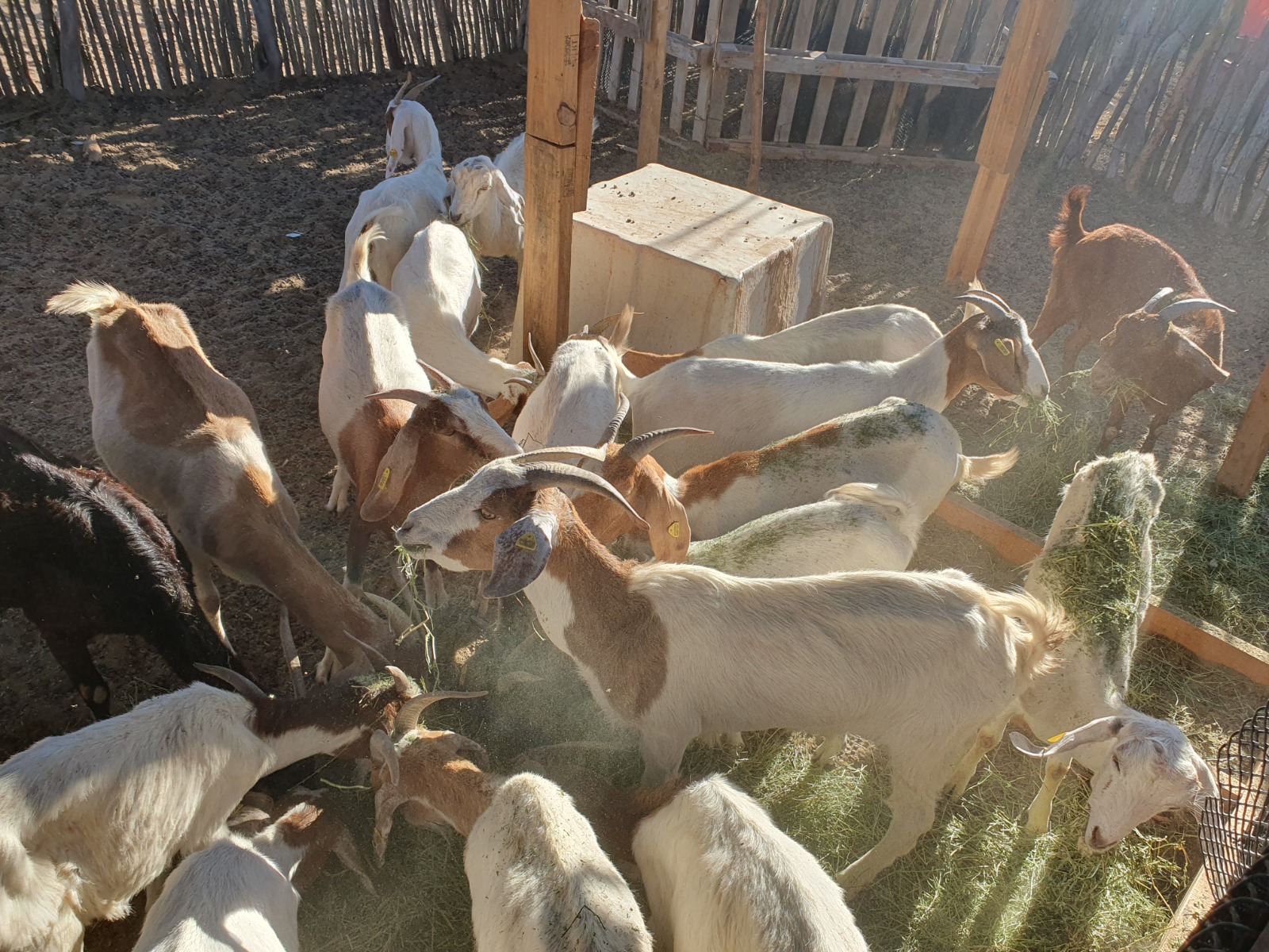 WhatsApp Image 2024 10 09 at 10.04.09 AM 2