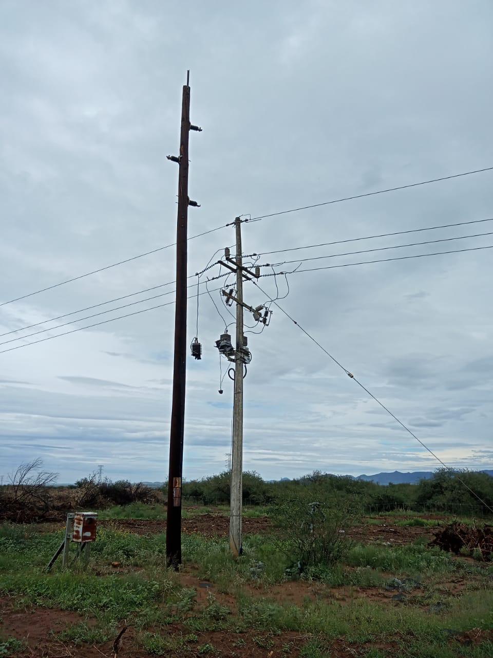 WhatsApp Image 2024 10 09 at 10.04.10 AM