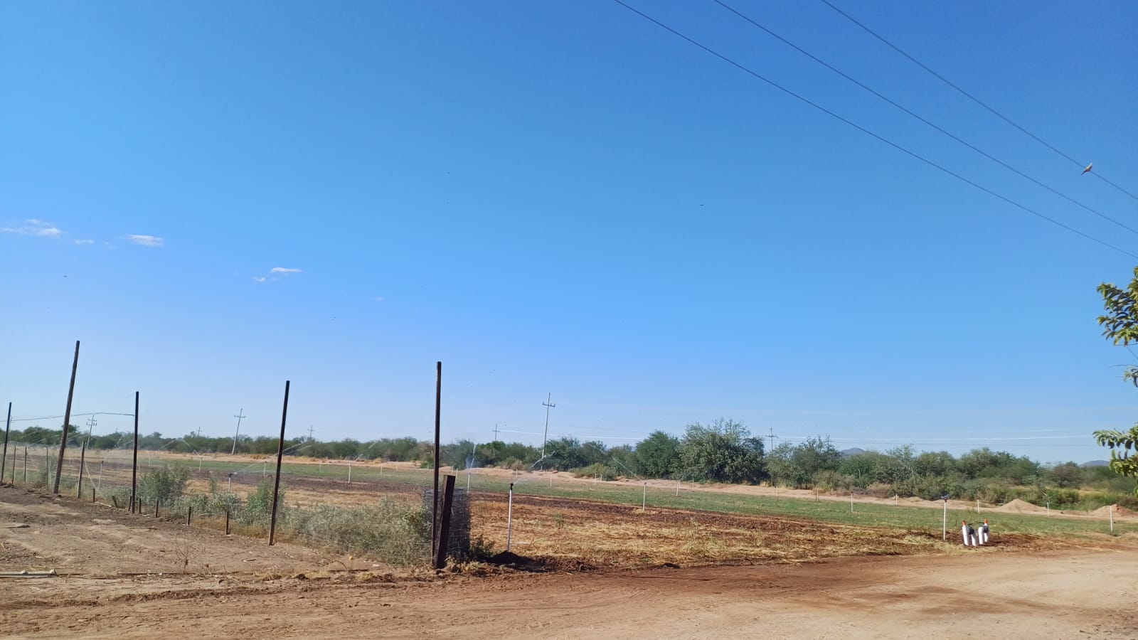 WhatsApp Image 2024 10 09 at 10.04.49 AM