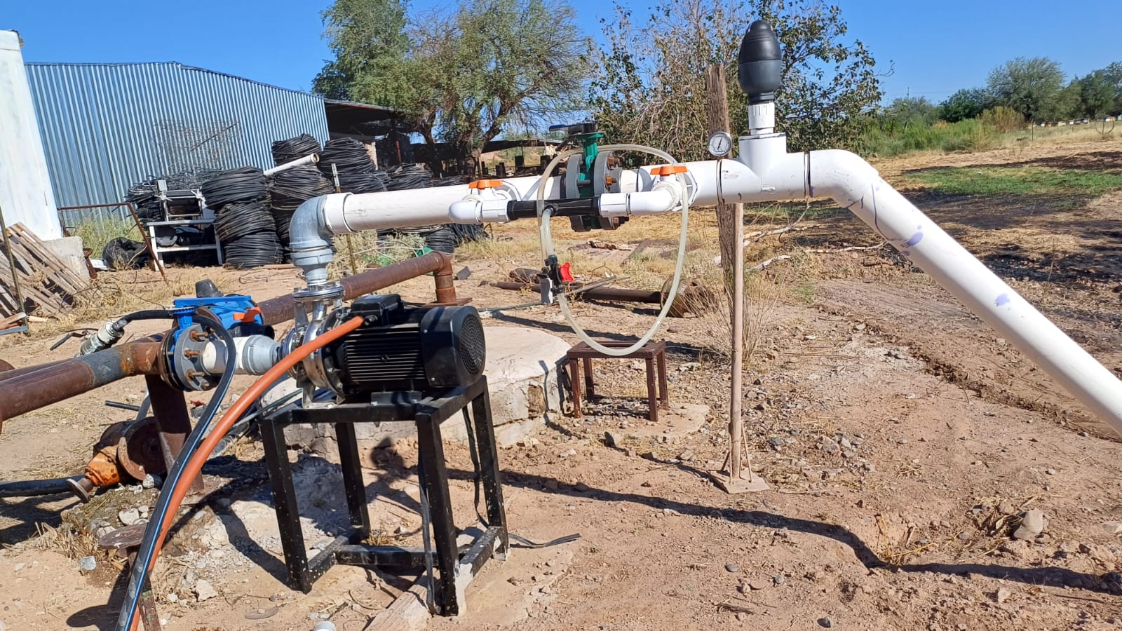 WhatsApp Image 2024 10 09 at 10.04.49 AM 1