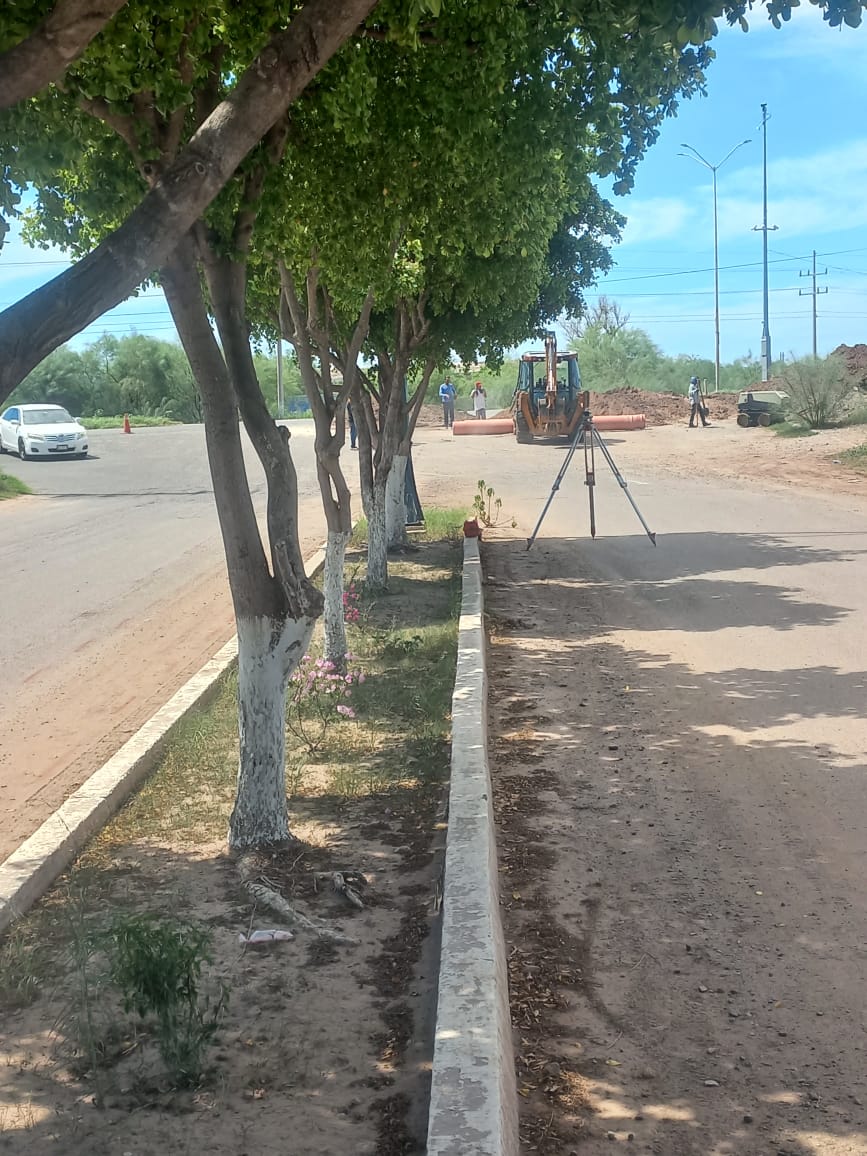 WhatsApp Image 2024 10 09 at 10.04.50 AM 4