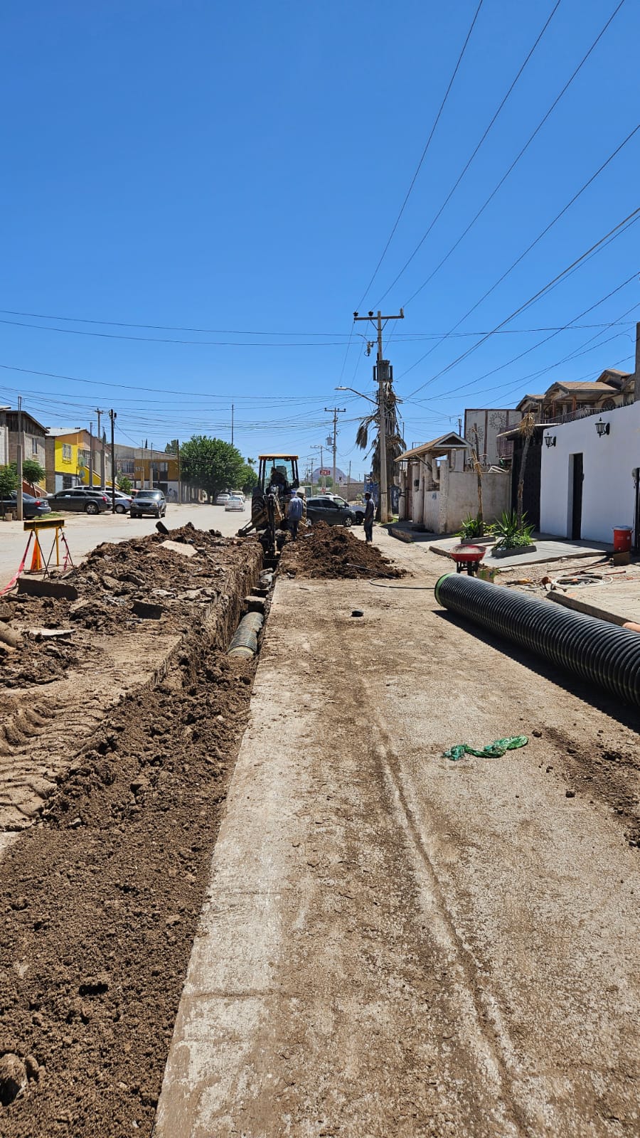 WhatsApp Image 2024 10 09 at 10.04.51 AM 3