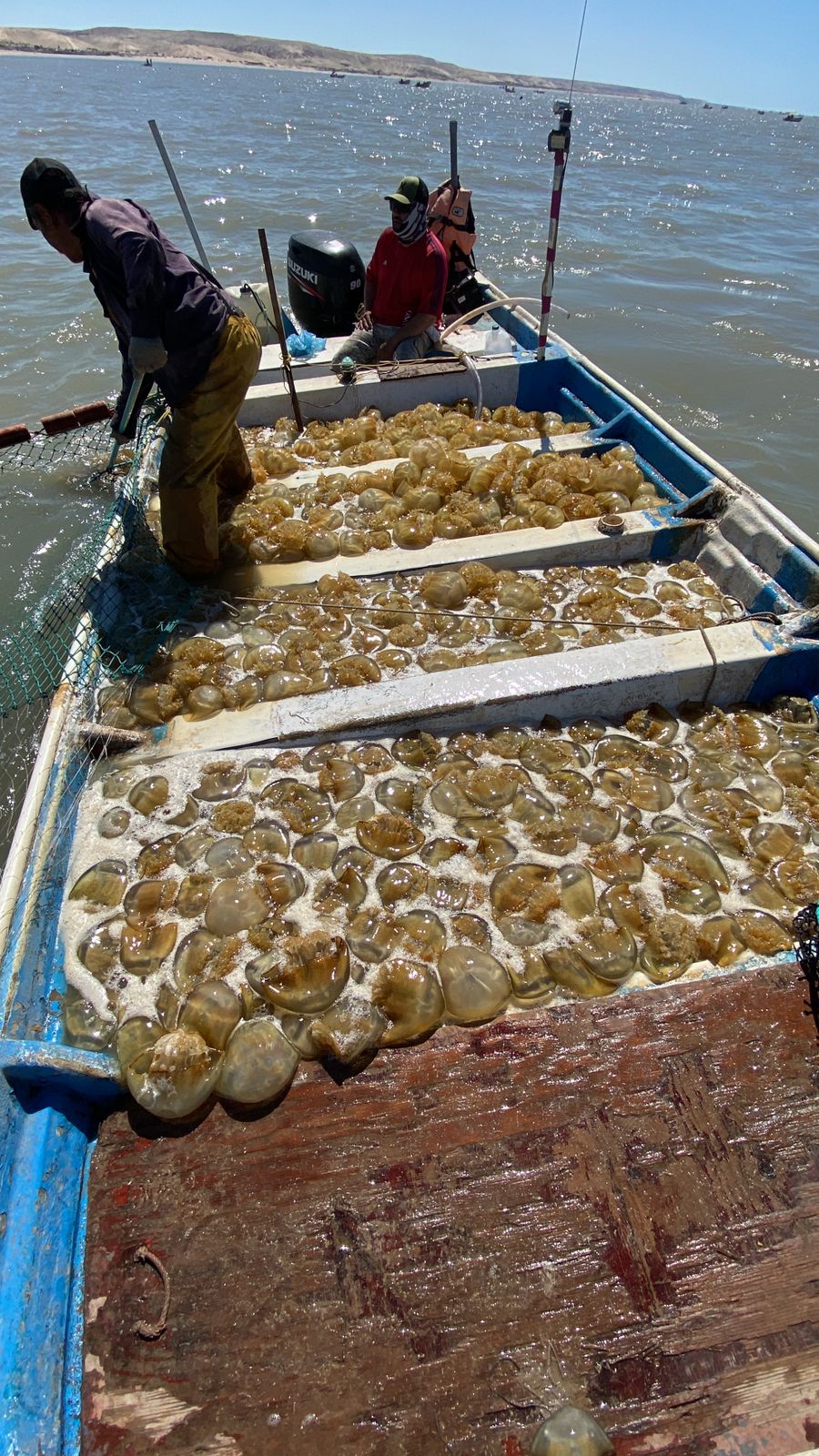 WhatsApp Image 2024 10 09 at 10.04.52 AM 2