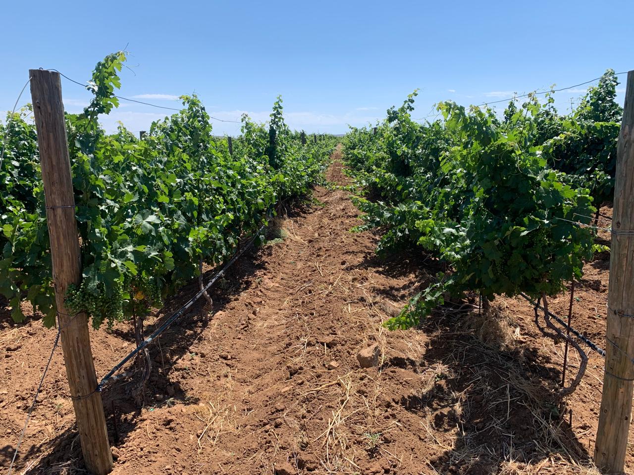 WhatsApp Image 2024 10 09 at 12.24.40 PM 2