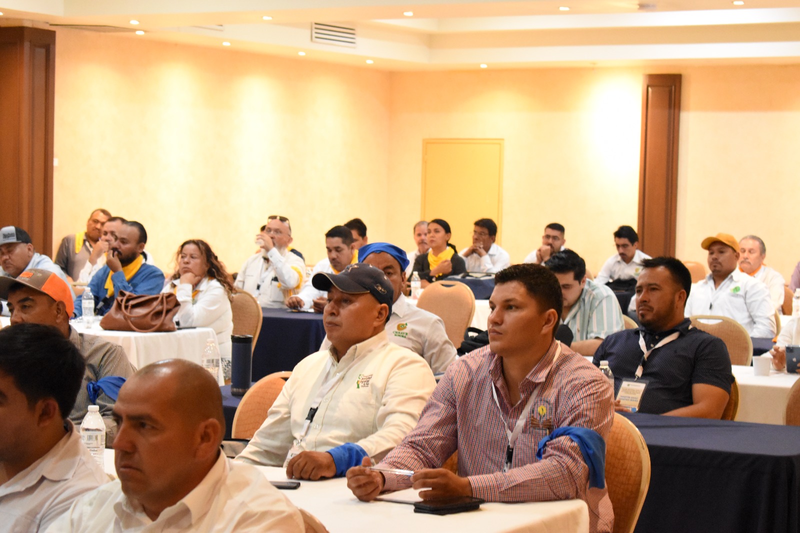 WhatsApp Image 2024 10 09 at 9.54.35 AM