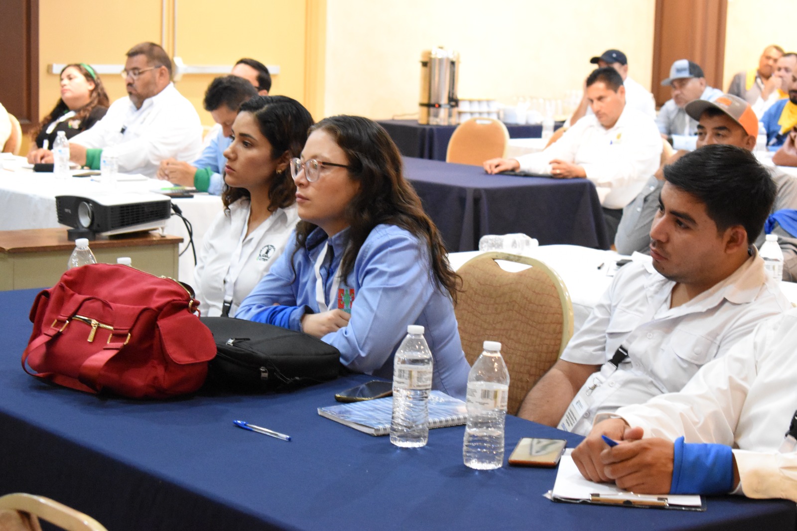 WhatsApp Image 2024 10 09 at 9.54.35 AM 1