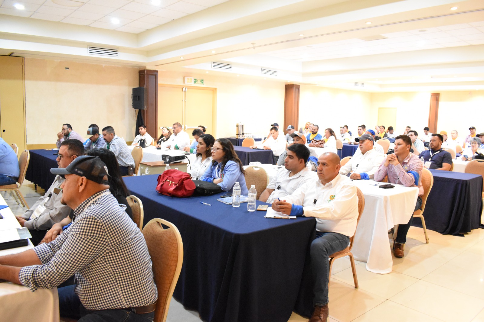 WhatsApp Image 2024 10 09 at 9.54.35 AM 2