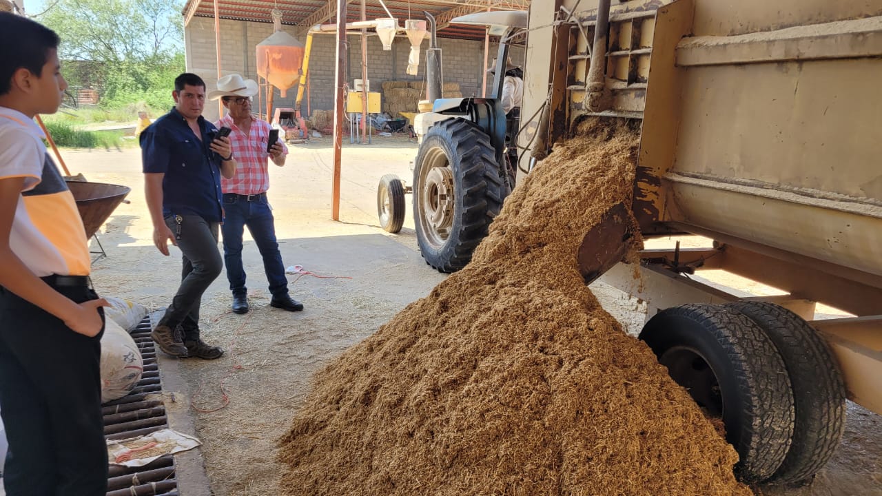 WhatsApp Image 2024 10 09 at 9.58.08 AM 1