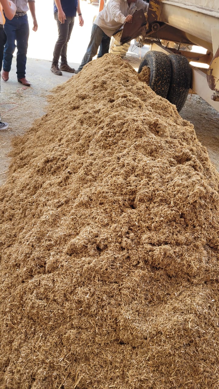 WhatsApp Image 2024 10 09 at 9.58.12 AM