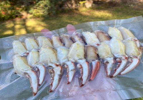 WhatsApp Image 2024 10 09 at 9.58.56 AM