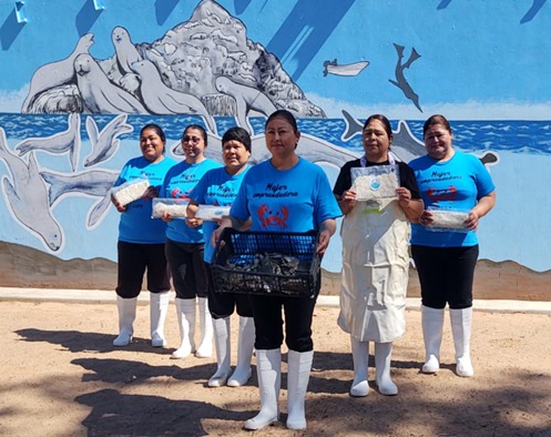 WhatsApp Image 2024 10 09 at 9.58.56 AM 2